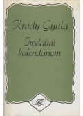 Krúdy Gyula - Irodalmi kalendáriom