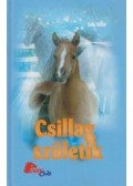 Gabi Adam - Csillag születik