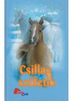 Gabi Adam - Csillag születik, Stabenfeldt 2007 antikvár könyv