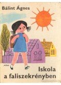 Bálint Ágnes - Iskola a faliszekrényben