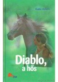 Gabi Adam - Diablo, a hős
