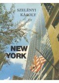 Szelényi Károly - New York (mini)