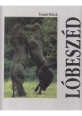 Micek, Tomás - Lóbeszéd