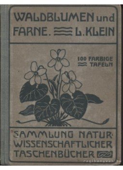 Klein, Ludwig - Unsere Waldblumen und Farngewachse Klein, Ludwig - Unsere Waldblumen und Farngewachse, Heidelberg 1924 antikvár könyv