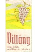 Kovács András dr. - Villány község élete a múltban és a jelenben