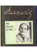 Babits Mihály - Mit tegyen az író a háboruval szemben? (mini)