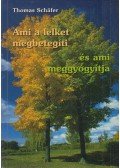 Thomas Schafer - Ami a lelket megbetegíti és ami meggyógyítja