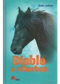 Gabi Adam - Diablo a viharban