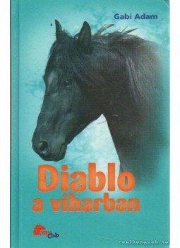 Gabi Adam - Diablo a viharban, Stabenfeldt 2006 antikvár könyv