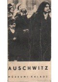 Smolen, Kazimierz - Auschwitz 1940-1945
