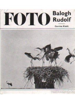 Vajda Ernő - Balogh Rudolf munkássága Vajda Ernő - Balogh Rudolf munkássága, Budapest 1969 antikvár könyv