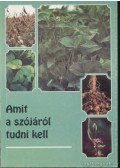 Balikó Sándor,Fülöpné Kuszák Katalin - Amit a szójáról tudni kell