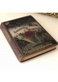 Verne Gyula,Jules Verne - A Szahara tengere
