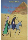 Gunhild Sehlin - Mária kis szamarával Egyiptomban