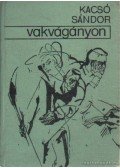 Kacsó Sándor - Vakvágányon