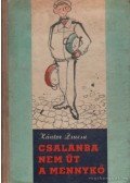 Kántor Zsuzsa - Csalánba nem üt a mennykő