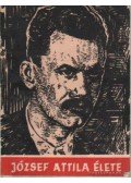 Pintér József - József Attila élete (1905 - 1937)