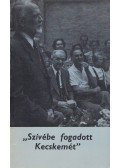 Heltai Nándor - Szívébe fogadott Kecskemét
