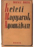Ignácz Rózsa - Keleti magyarok nyomában