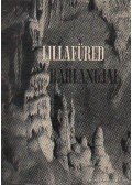 Kessler Hubert - Lillafüred barlangjai