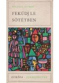 William Styron - Feküdj le sötétben