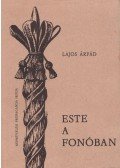 Lajos Árpád - Este a fonóban
