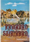 Dallos Attila - Ramadán Szíriában