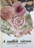 Tóth László - A mullók városa