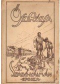 Szabó Kálmán - Őszirózsa
