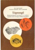 Dr. Papp János - Töprengő