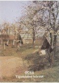 Temesi Ida - Ócsa - Tájvédelmi körzet