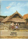 Füzes Endre - Parád - Palóc ház