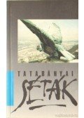 Fűrészné Molnár Anikó - Tatabányai séták