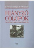Szerdahelyi Szabolcs - Hiányzó cölöpök
