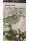 Kovács István - Hamuban csillagló gyémánt