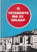 Gombkötő Gábor - Tatabánya ma és holnap