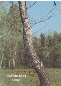 Temesi Ida - Bátorliget - Ősláp