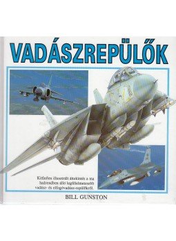 Gunston, Bill - Modern vadászrepülők Gunston, Bill - Modern vadászrepülők, Debrecen 1992 antikvár könyv