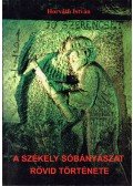 Horváth István - A székely sóbányászat rövid története