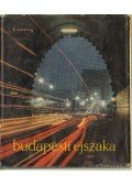 Czeizing Lajos - Budapesti éjszaka