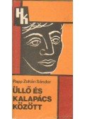 Papp Zoltán Sándor - Üllő és kalapács között