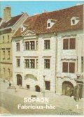 Rappai Zsuzsa - Sopron - Fabricius-ház 1.