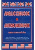 Takács Erika - Anglicizmusok - Amerikanizmusok