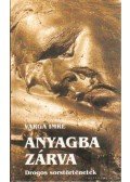 Varga Imre - Anyagba zárva