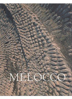 Wehner Tibor - Melocco Miklós Wehner Tibor - Melocco Miklós, Budapest 2005 antikvár könyv