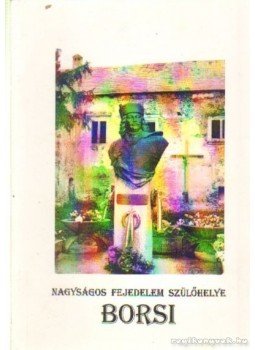 Hajdú Jenő - A nagyságos fejedelem szülőhelye Borsi Hajdú Jenő - A nagyságos fejedelem szülőhelye Borsi, 2003 antikvár könyv