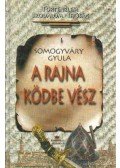 Somogyváry Gyula - A Rajna ködbe vész