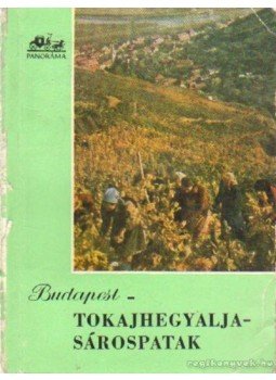 Aba Iván - Budapest-Tokajhegyalja-Sárospatak Aba Iván - Budapest-Tokajhegyalja-Sárospatak, Budapest 1960 antikvár könyv