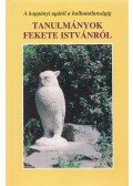 Gáspár János - Tanulmányok Fekete Istvánról