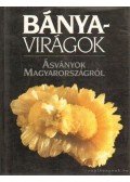 Fenyves Katalin - Bányavirágok